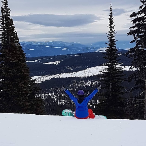 Meet your Posher, Skye - Picture 1 of 1